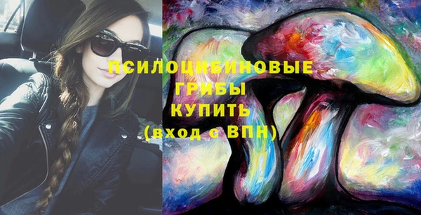 крисы Алзамай