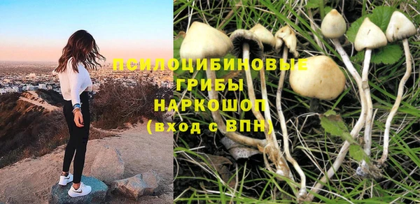 крисы Алзамай
