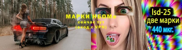 крисы Алзамай
