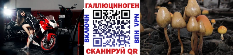 Галлюциногенные грибы Magic Shrooms  Железногорск-Илимский 